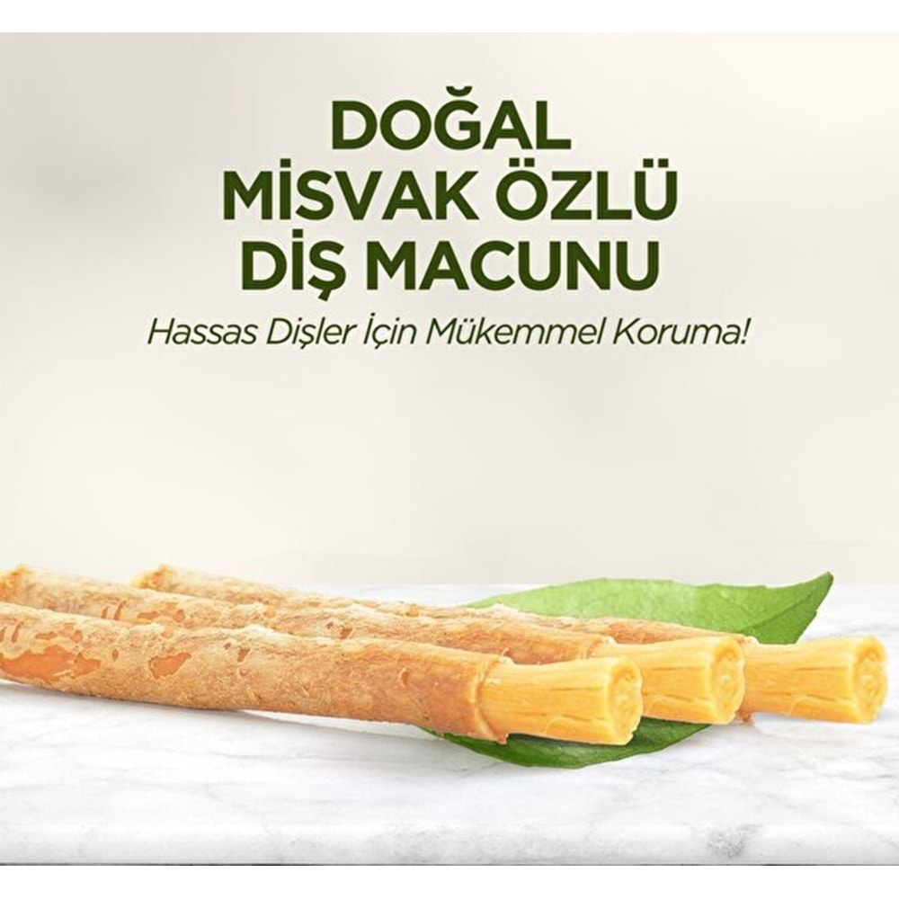 EST Diş Macunu (90ml) Misvak