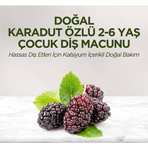 EST Diş Macunu Çocuk (60ml) Karadut Özlü