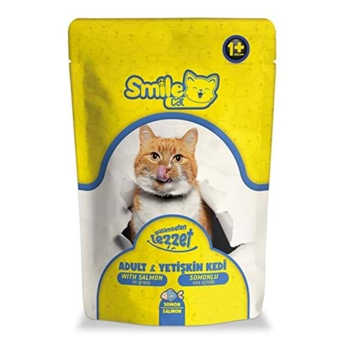 PELAGOS Smile Kedi Maması (Pouch-100gr) Yetişkin Kedi-Somonlu *24