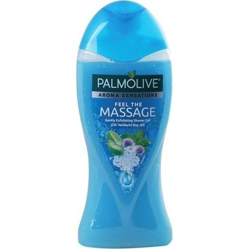 PALMOLİVE Duş Jeli (250ml) Fell the Massage