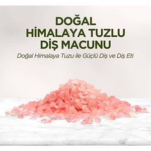 EST Diş Macunu (90ml) Himalaya Tuzu