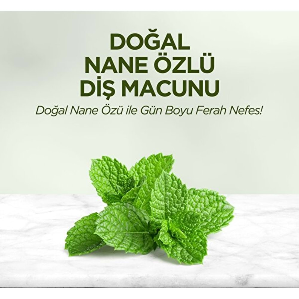 EST Diş Macunu (90ml) Nane