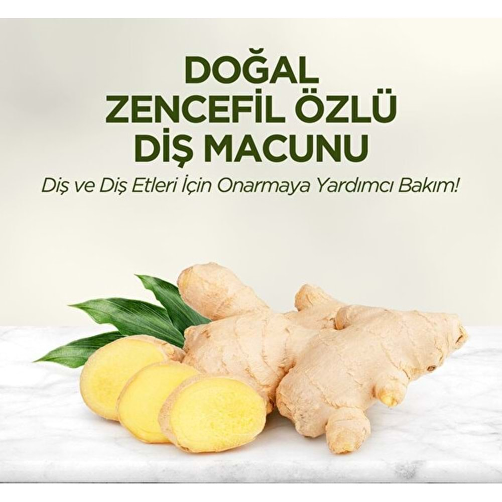 EST Diş Macunu (90ml) Zencefil