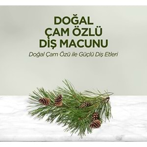 EST Diş Macunu (90ml) Çam Özlü