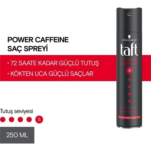 TAFT Saç Spreyi (250ml) Kafein No:5