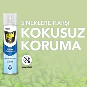 RAİD Sineksavar (Kokusuz) Yeni 300ml